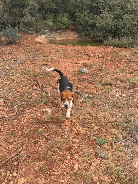 Uppercut des sources de l'aber wrac'h